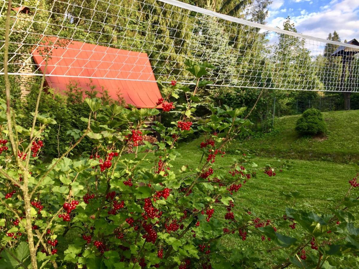 Chata Fortuna Dolni Lomna Exterior foto